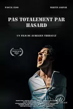 Pas totalement par hasard affiche